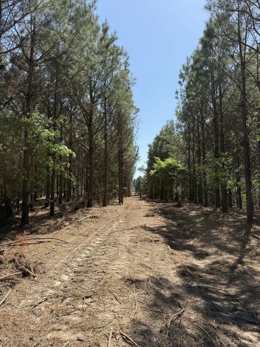 TBD Lincoln Springs Rd, Gladewater, TX 75647 - #2