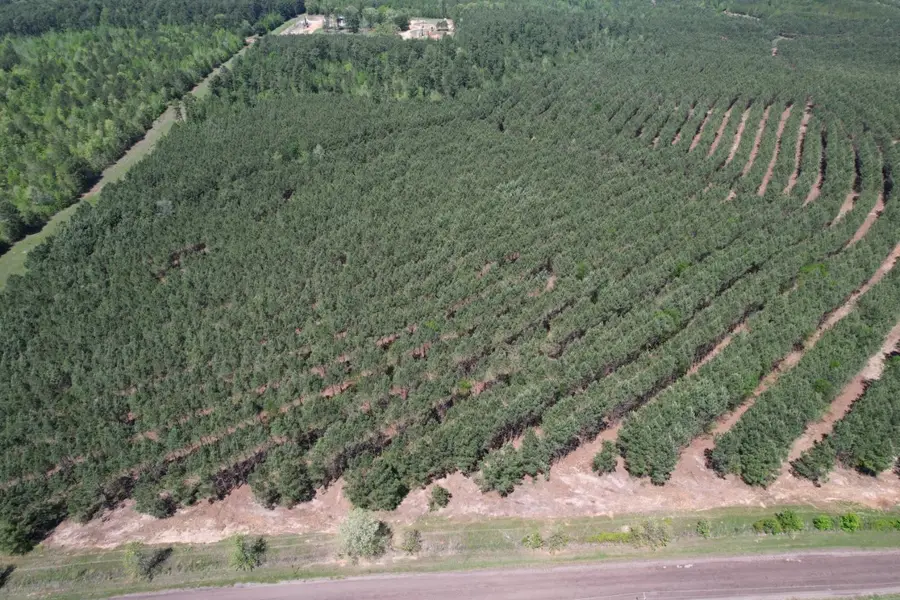 TBD Lincoln Springs Rd, Gladewater, TX 75647 - #3