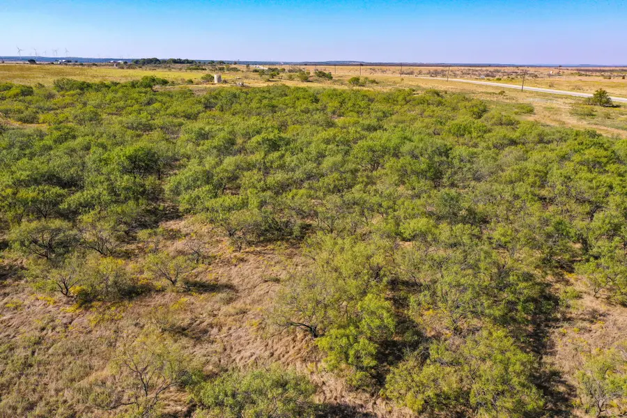 54.53 Acres Hwy 199 Road, Jacksboro, TX 76458 - #3