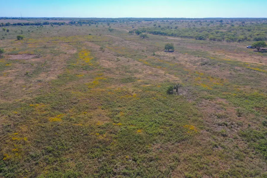 16.96 Acres 199 Highway, Jacksboro, TX 76458 - #3