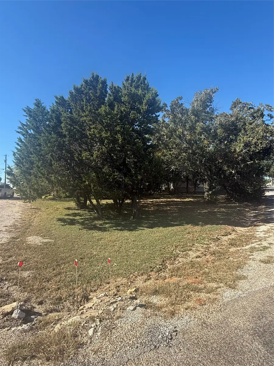TBD Big Bend, Whitney, TX 76692 - #3