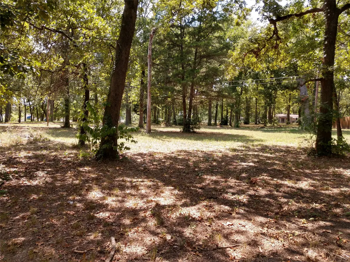 372 Punta Pescador, Gun Barrel City, TX 75147 - #1