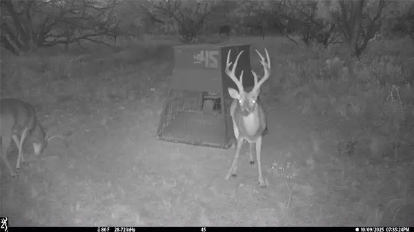 tbd Tbd Cnty Rd 291, Breckenridge, TX 76464