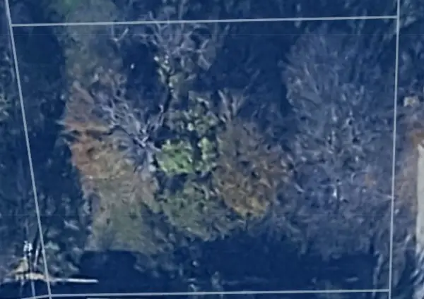 249 Wildwind Street, Gun Barrel City, TX 75156