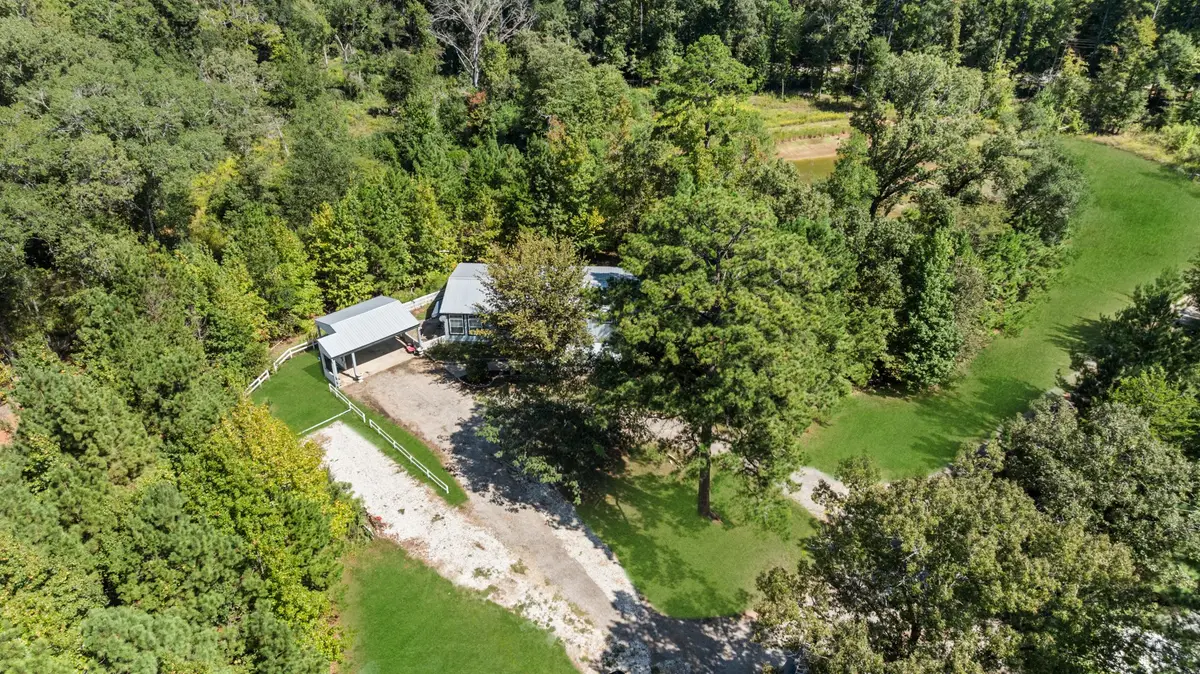 905 County Road 4914, Ben Wheeler, TX 75754 - #1