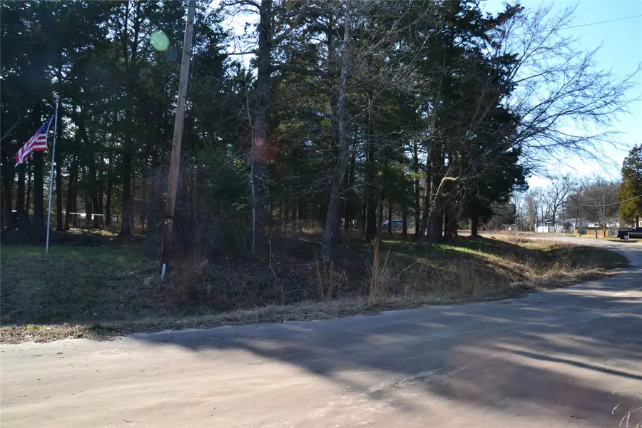 0000 Sweetgum Drive, Murchison, TX 75778 - #2