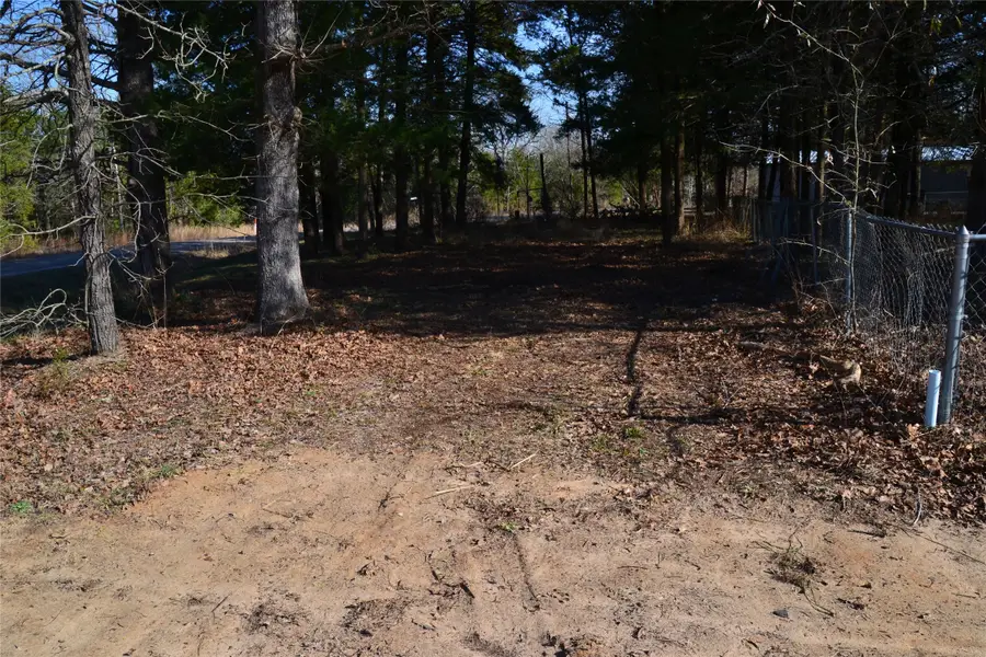 0000 Sweetgum Drive, Murchison, TX 75778 - #3