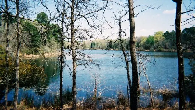 9349 Safari Shores Drive, Larue, TX 75770 - #1