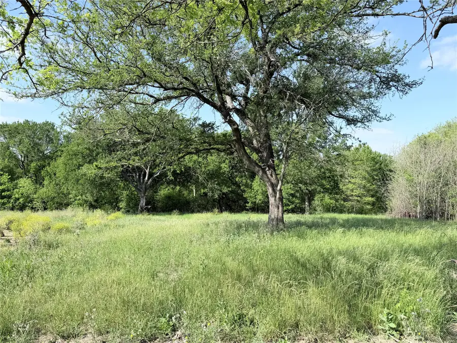 TBD County Road 3204, Abbott, TX 76621 - #2