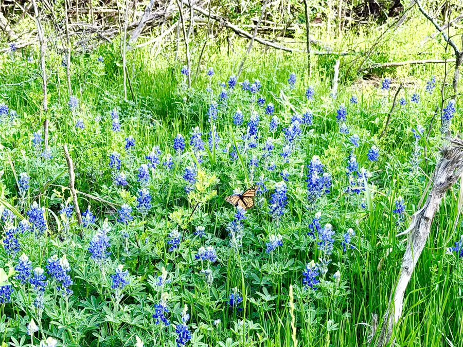 TBD County Road 3204, Abbott, TX 76621 - #3