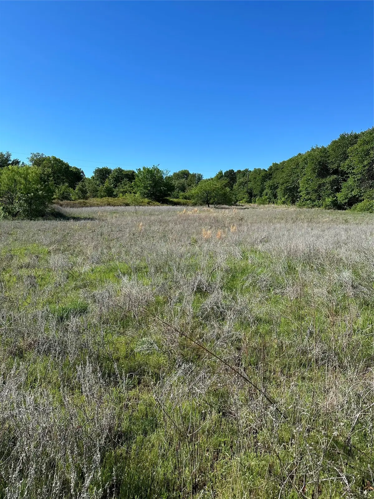 TBD Hwy 2247, Comanche, TX 76442 - #1