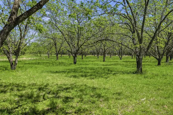 12011 Paradise Boulevard, Bluff Dale, TX 76433