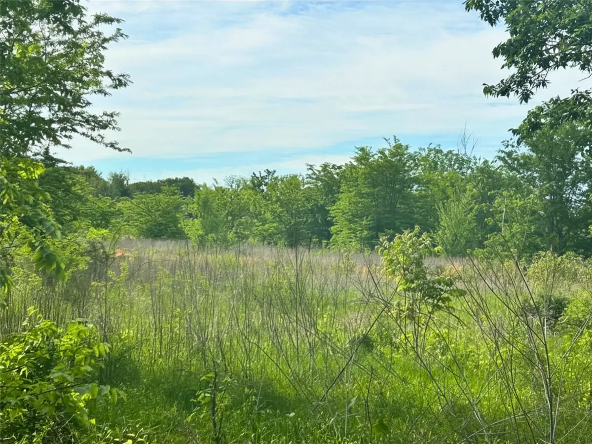 TBD S First St, Point, TX 75472 - #1