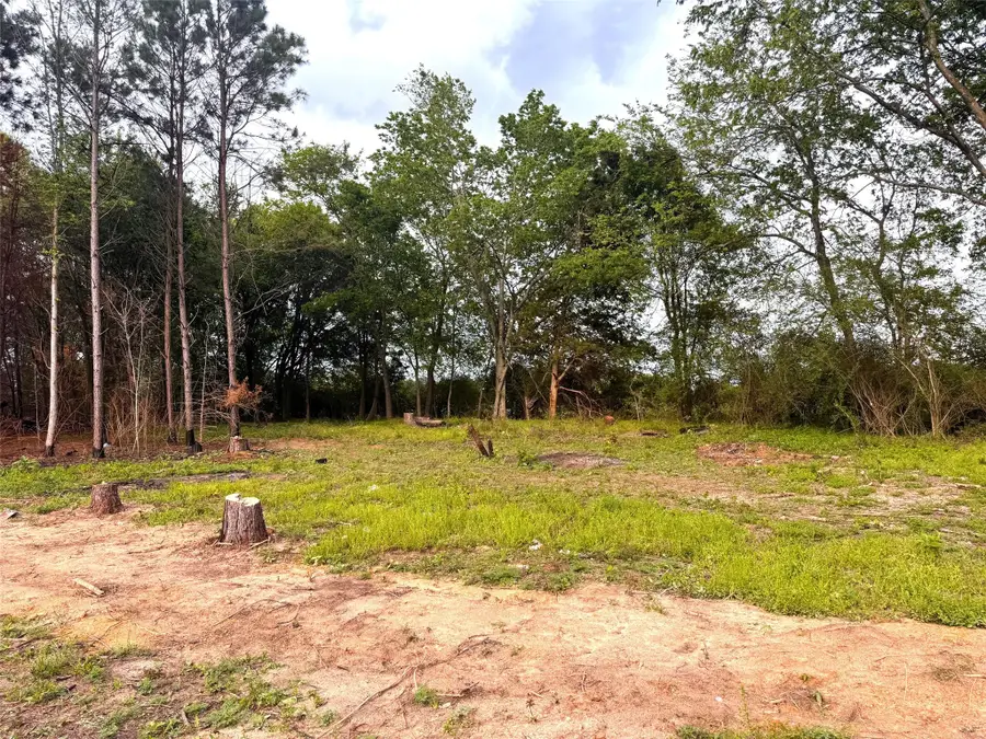 215 Cr 4205, Naples, TX 75568 - #3
