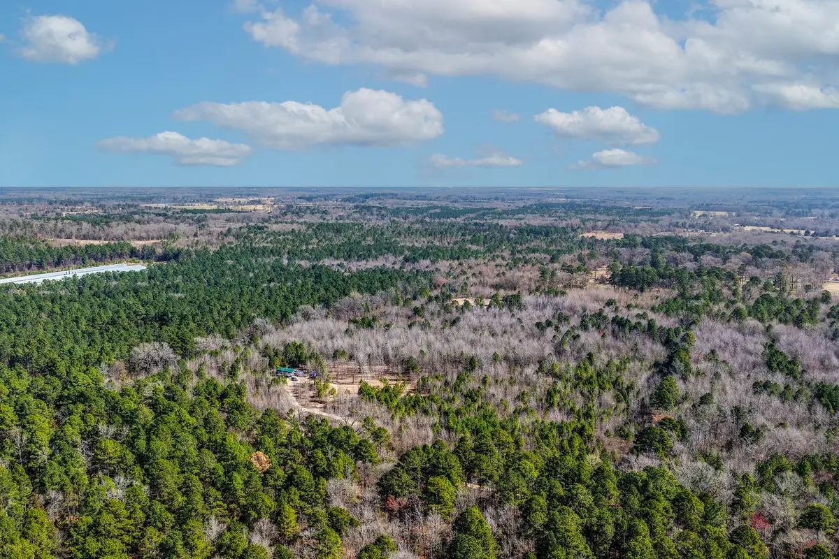 1462 Mole Road, Winnsboro, TX 75494 - #1