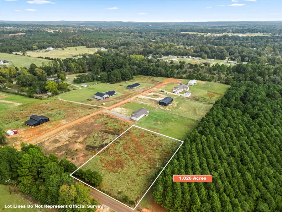 2685 Hawk Road, Diana, TX 75640 - #2