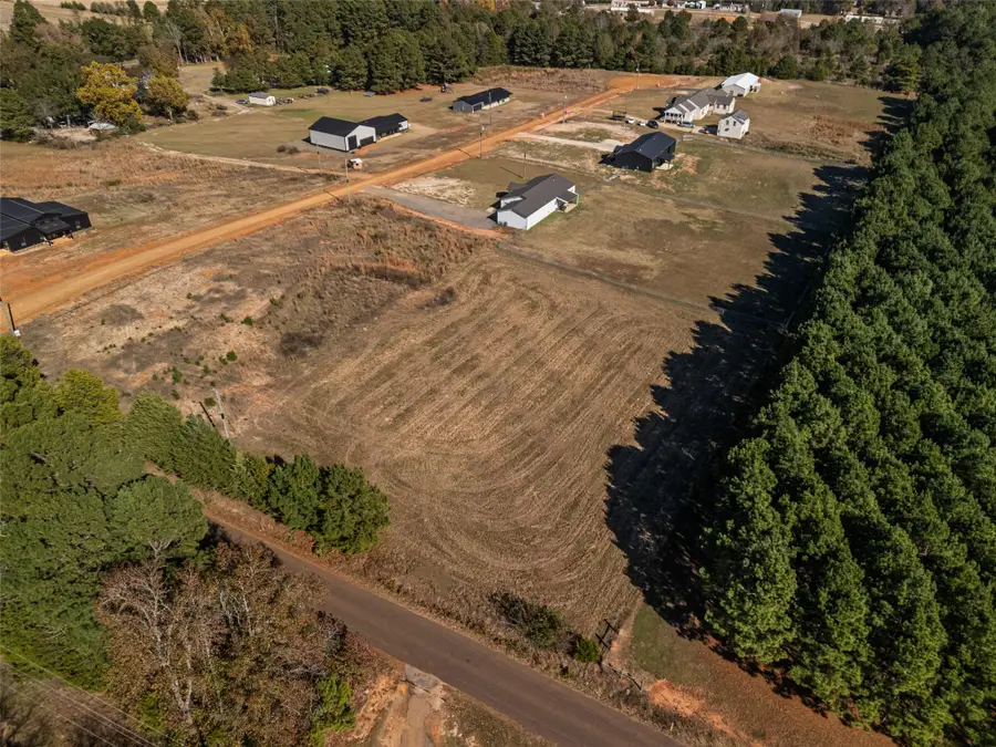 2685 Hawk Road, Diana, TX 75640 - #3