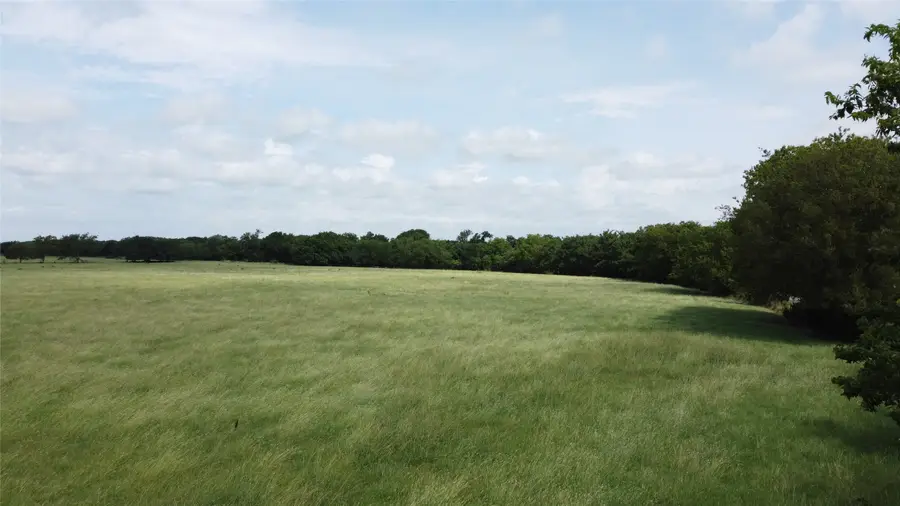 11742 Dane Road, Pilot Point, TX 76258 - #3