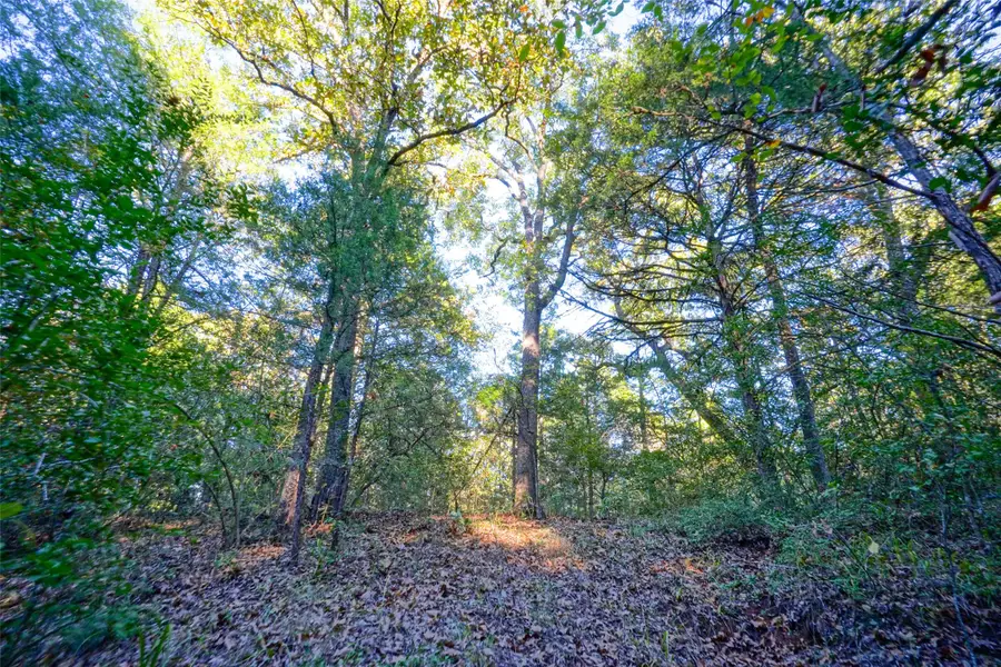 5 Acres Fcr 930, Teague, TX 75860 - #2