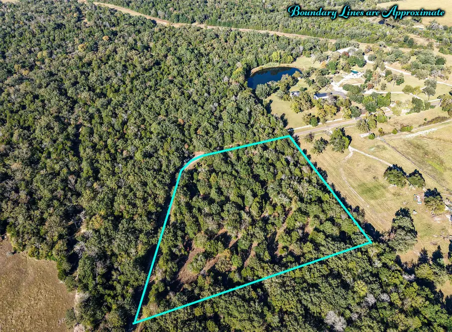 5 Acres Fcr 930, Teague, TX 75860 - #3