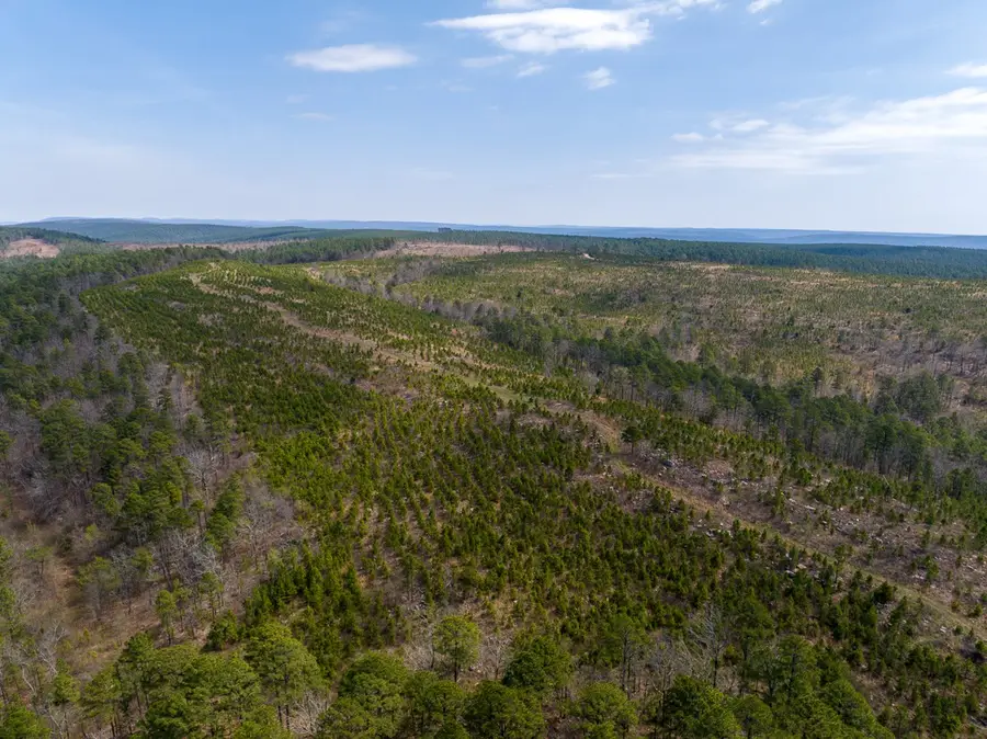 1 Off N4220, Antlers, OK 74523 - #3