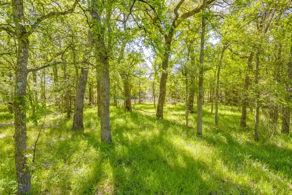 TBD Teague Road, Jacksboro, TX 76458