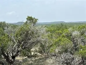 TBD Cr2010 Road #4, Glen Rose, TX 76043 - #3