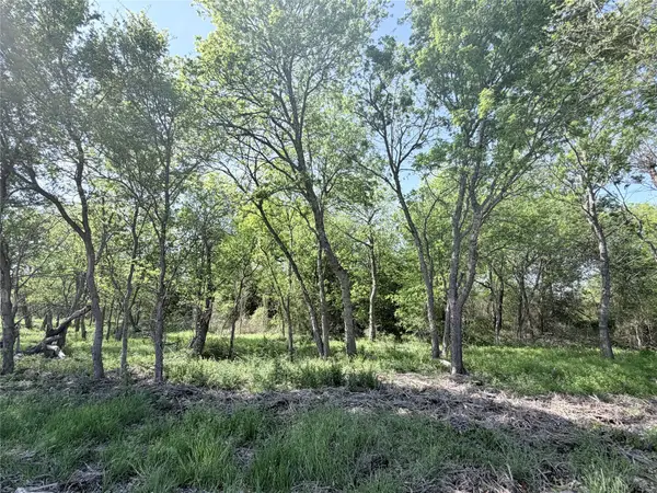 TBD County Road 3204, Abbott, TX 76621