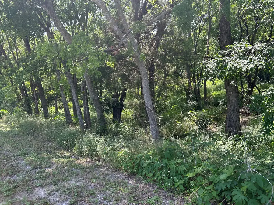 4401 Dexham Road, Rowlett, TX 75088 - #3