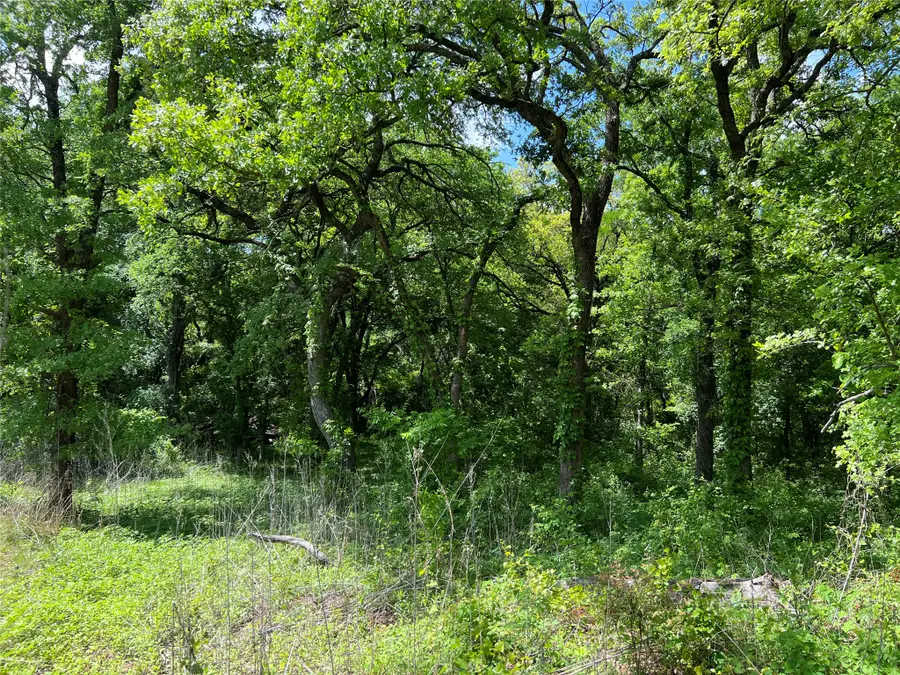 3024 Ida Lane, Alvarado, TX 76009 - #2