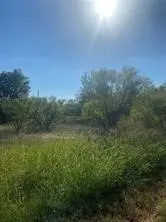 Lot 102 Brookview Court, Bridgeport, TX 76426 - #2