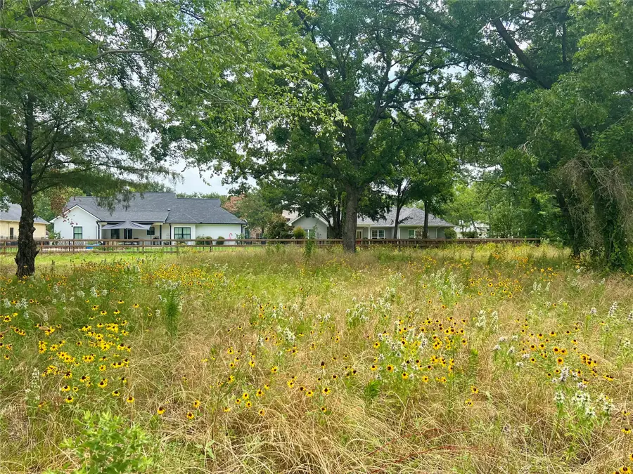 711 Clubview Drive, Cedar Creek Lake, TX 75143 - #3