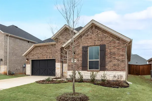 4108 Blackbird Avenue, Little Elm, TX 75068
