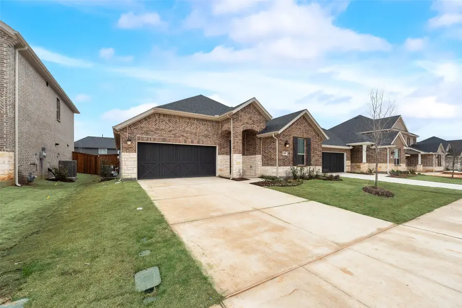 4108 Blackbird Avenue, Little Elm, TX 75068 - #2