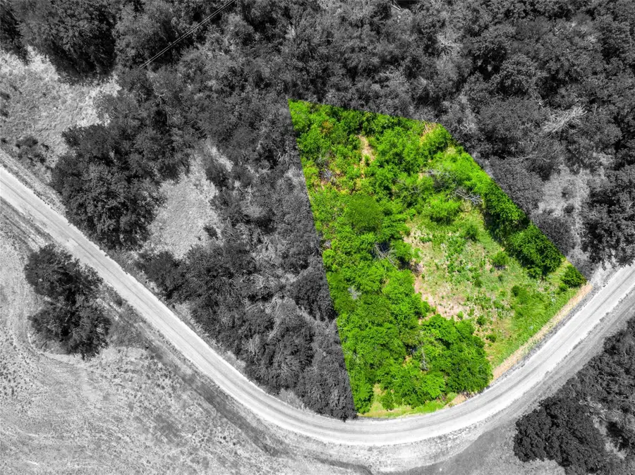 Lot 12 Bluffview Lane, Lone Oak, TX 75453 - #2