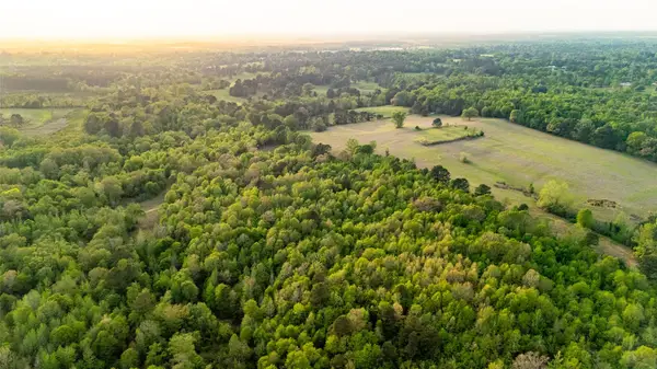 000 Fm 838, Overton, TX 75684