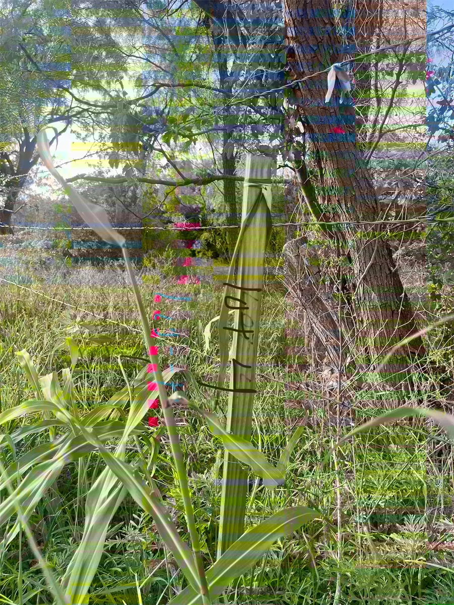 Lot4 Rock Creek Road, Possum Kingdom Lake, TX 76449 - #3