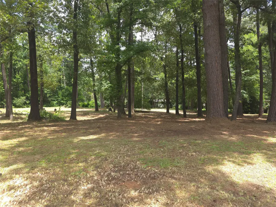 208 Mountain View Drive, Daingerfield, TX 75638 - #2