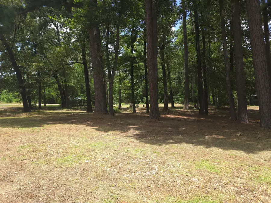208 Mountain View Drive, Daingerfield, TX 75638 - #3