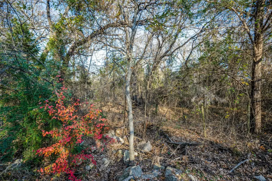 403 Woodland Drive, Copper Canyon, TX 75077 - #3