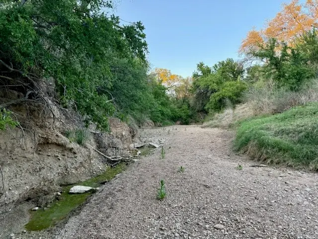 950 442, Mercury, TX 76872 - #3