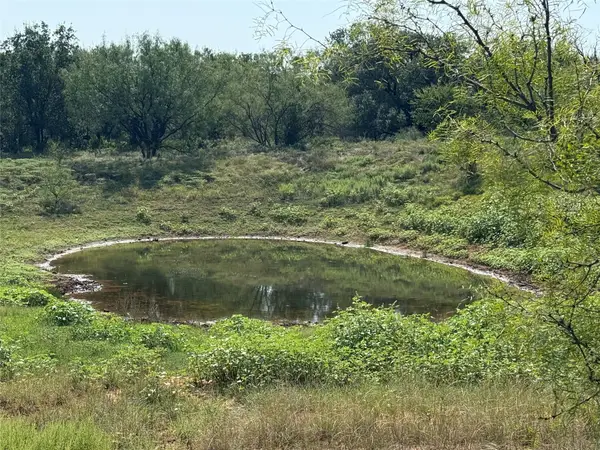 0000 Proffitt Road, Newcastle, TX 76372