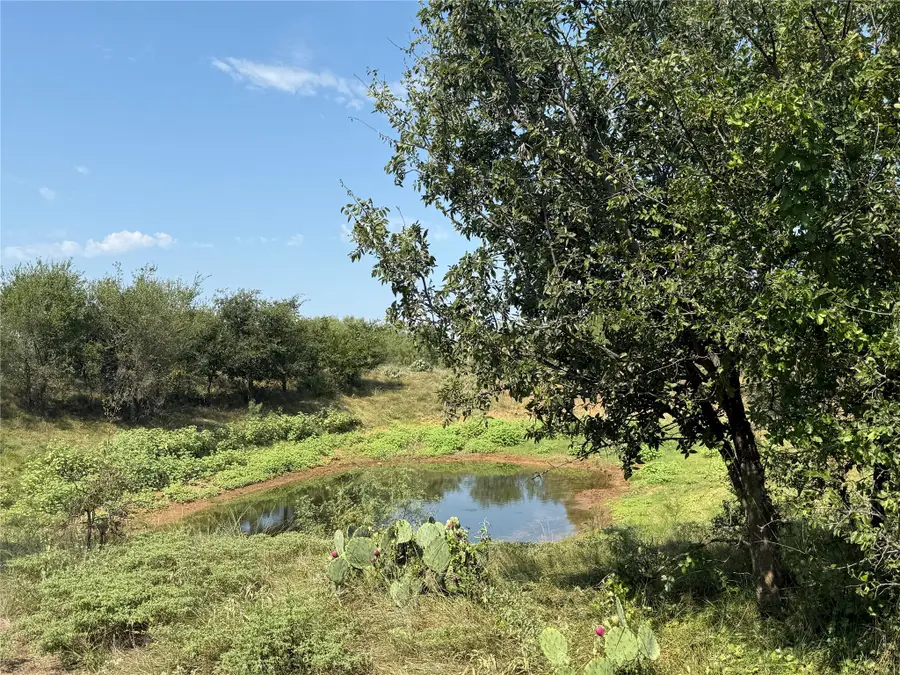 0000 Proffitt Road, Newcastle, TX 76372 - #2