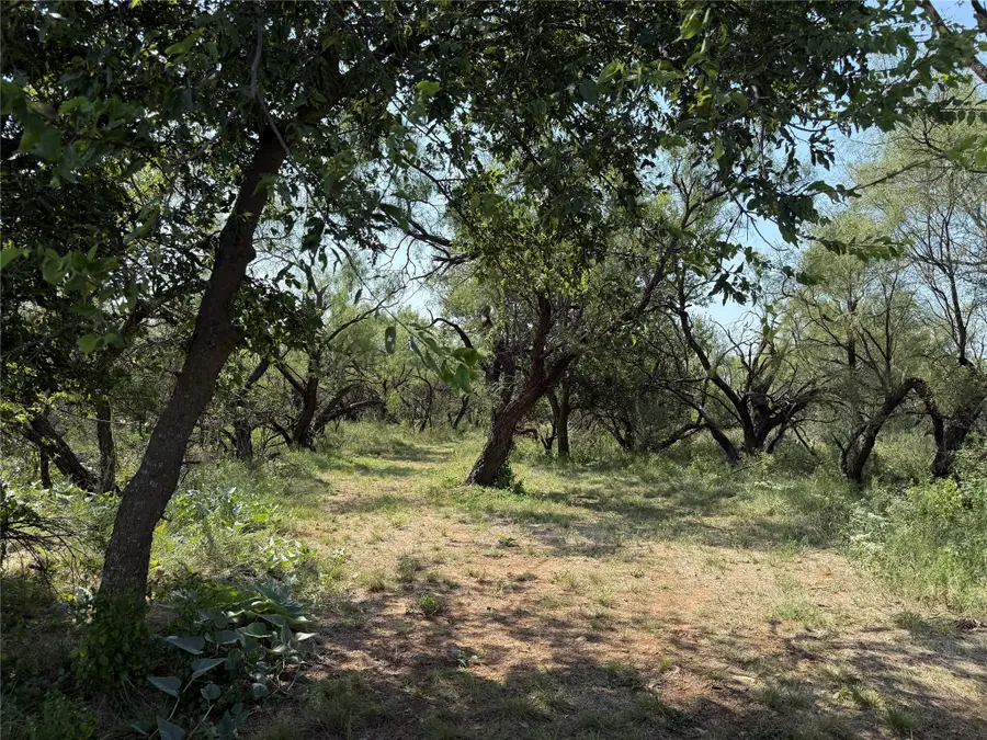 0000 Proffitt Road, Newcastle, TX 76372 - #3