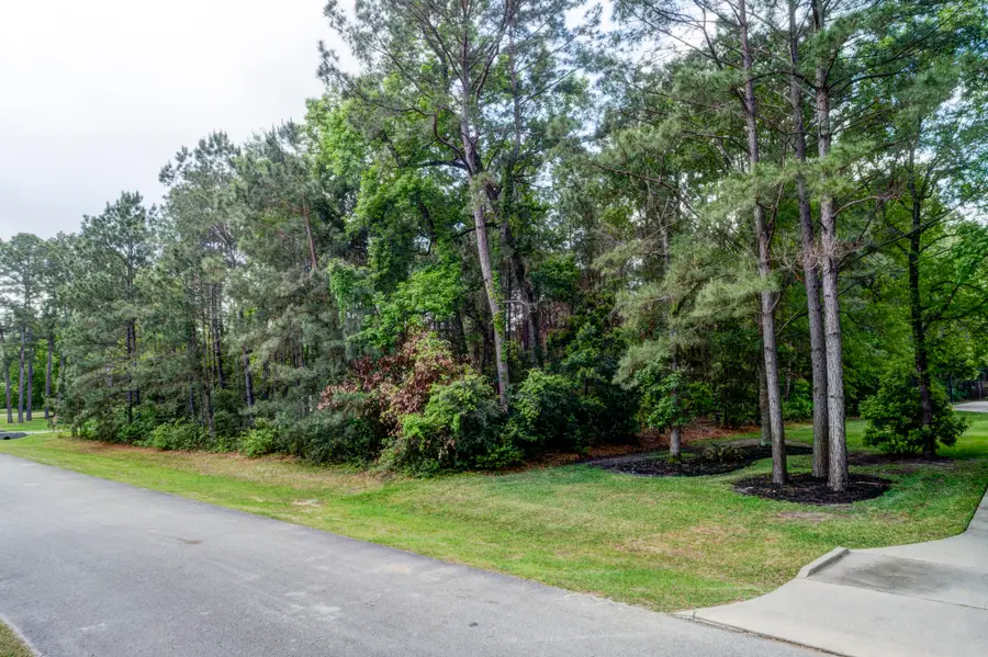 4106 Calvert Cove Court, Spring, TX 77386 - #3