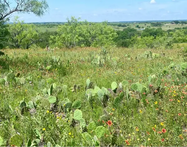 LOT 59 Comanche Lake Road, Comanche, TX 76442
