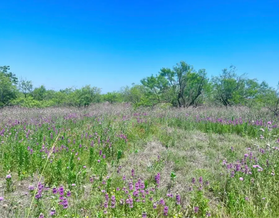 LOT 59 Comanche Lake Road, Comanche, TX 76442 - #2