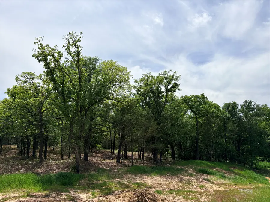 135 Turtle Back Ridge, Decatur, TX 76234 - #2