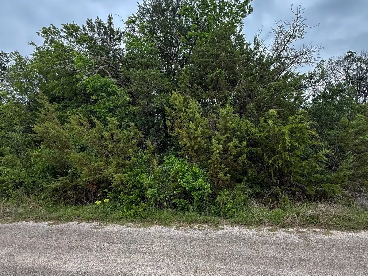 4627 Evening View Drive, Granbury, TX 76048 - #1