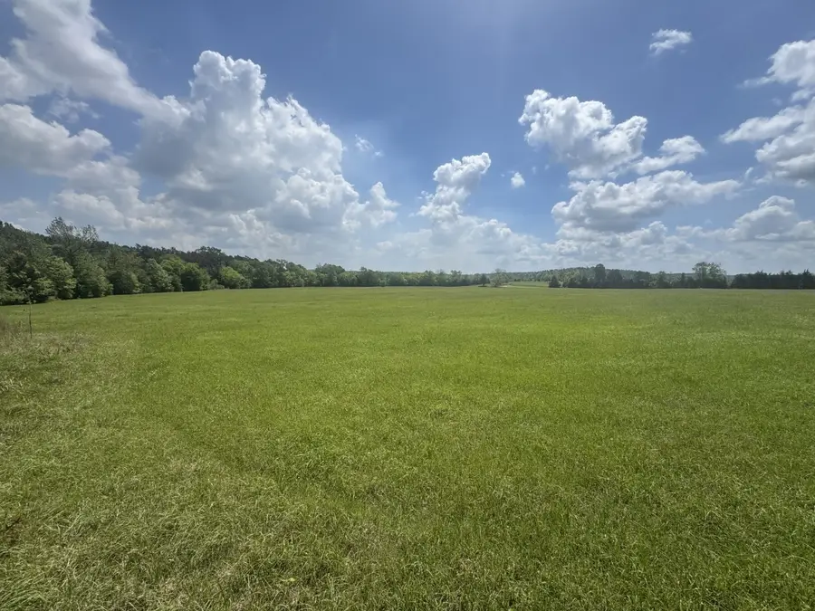 TBD-A Fm 2867, Henderson, TX 75654 - #2